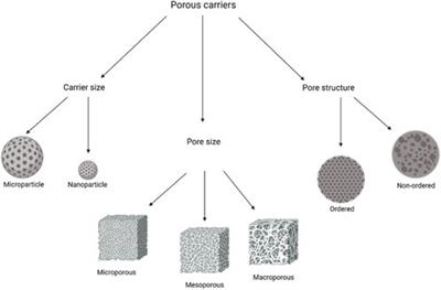 Pioneering Advances and Innovative Applications of Mesoporous Carriers for Mitochondria-Targeted Therapeutics